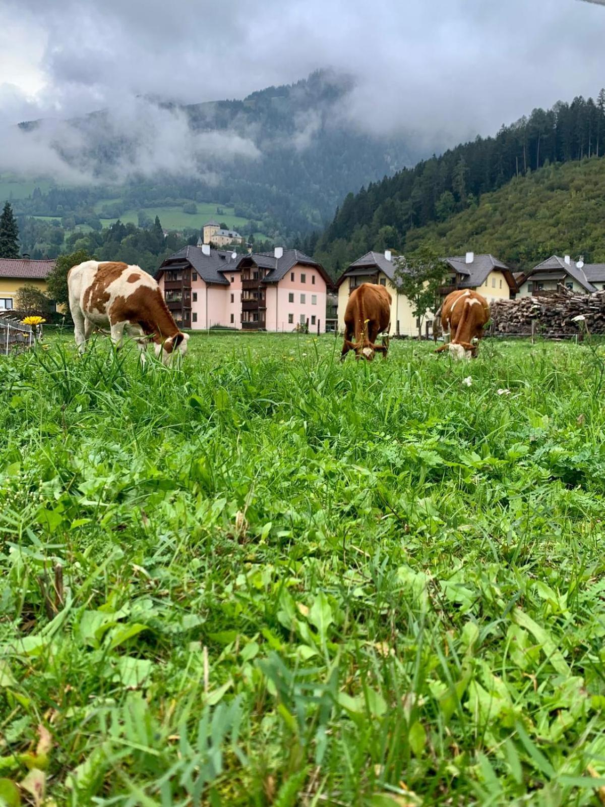 Panorama Apartments Semslach Obervellach Esterno foto